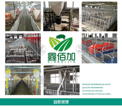 鑫佰加畜牧設(shè)備 專業(yè)打造犢牛用奶壺，助力高效養(yǎng)殖